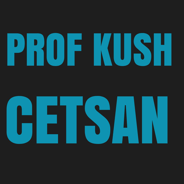 playlist sélection rap  Guig'z x MEJ x Prof Kush x Cetsan x RMS x Lico x Melo Matik Beats - Salle de FEATN'EST 