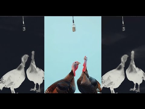 rap francais indépendant Lonironaute & Monsieur Paul 